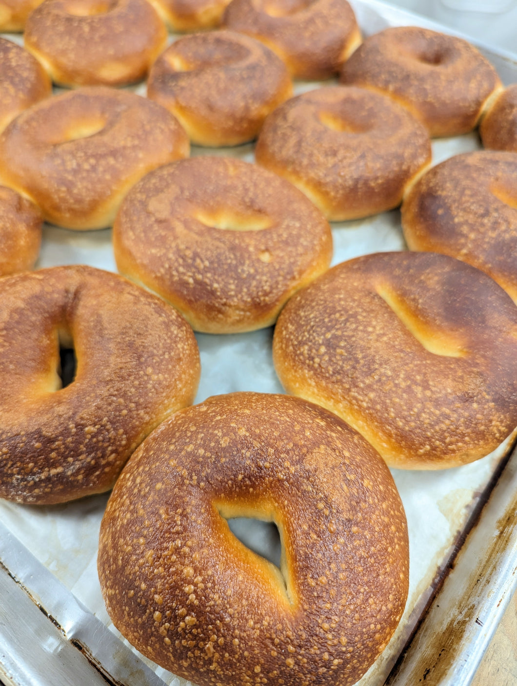 Hand Rolled Bagel 6-Packs (Available on Monday Deliveries Only) (vegan)