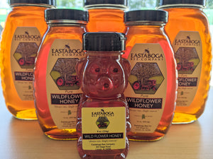 Alabama Wildflower Honey (Local!)